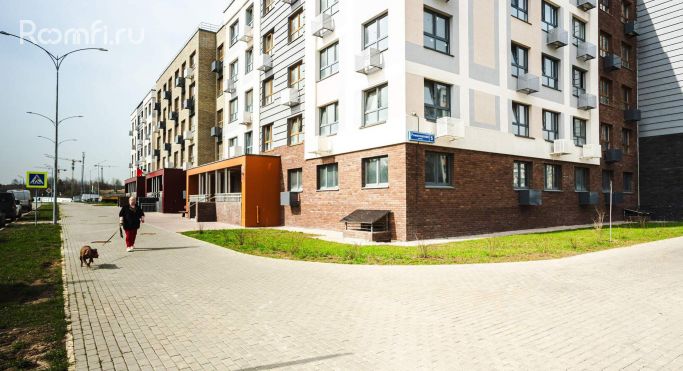 Аренда помещения свободного назначения 54.9 м², Романовская улица - фото 1