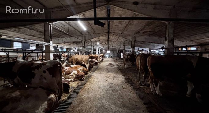 Аренда производственного помещения 3350 м² - фото 2