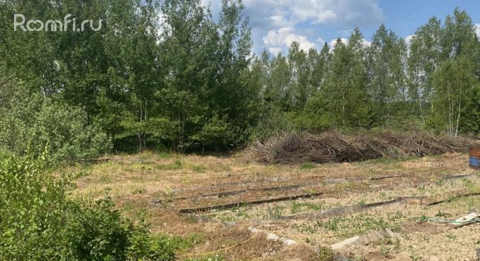 Продажа земельных участка 1 га - фото 4
