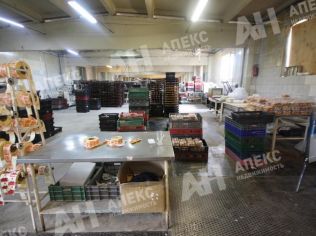 Аренда производственного помещения 700 м²