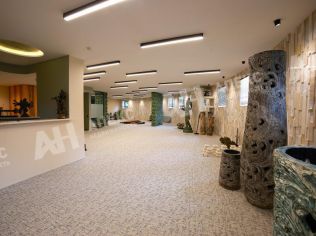 Аренда помещения свободного назначения 374 м²
