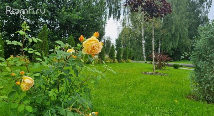 Продажа земельных участка 0.1 га - фото 2