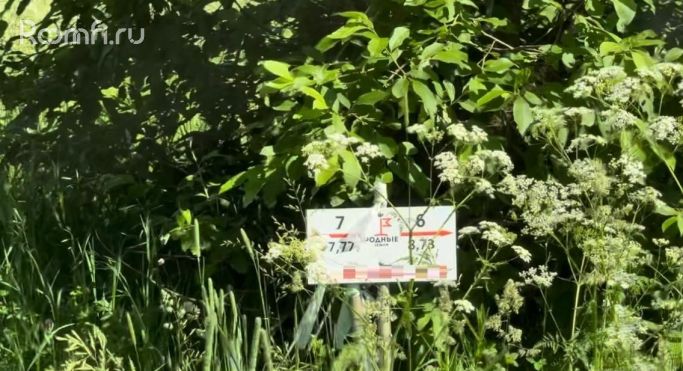 Продажа земельных участка 0.1 га - фото 4