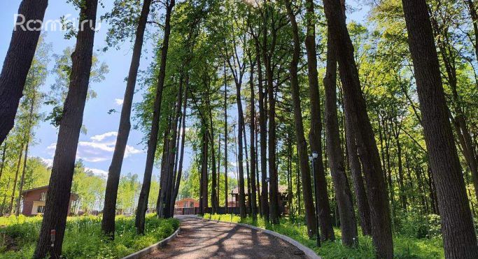 Продажа земельных участка 0.1 га, Сосновый переулок - фото 5