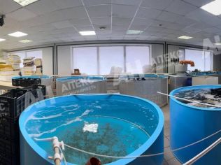 Продажа помещения свободного назначения 213 м²