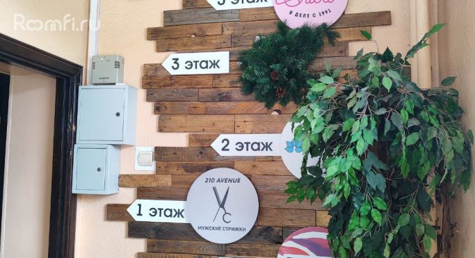 Аренда помещения свободного назначения 77 м², проспект Красной Армии - фото 2