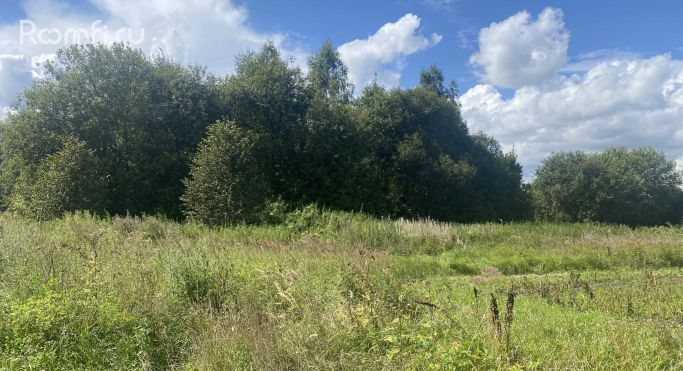 Продажа земельных участка 0.2 га, Спасская улица - фото 3