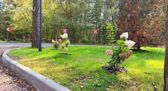 Продажа земельных участка 0.1 га, Сосновый переулок - фото 4