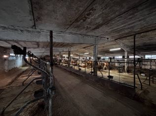 Аренда производственного помещения 3350 м²