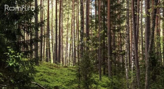 Продажа земельных участка 0.1 га - фото 2