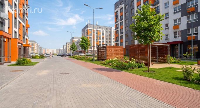 Аренда помещения свободного назначения 86.5 м², Романовская улица - фото 2