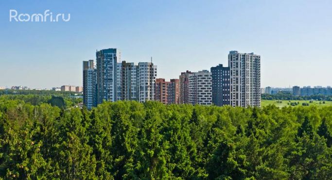 Продажа офиса 37.6 м², улица Полковника Романова - фото 5