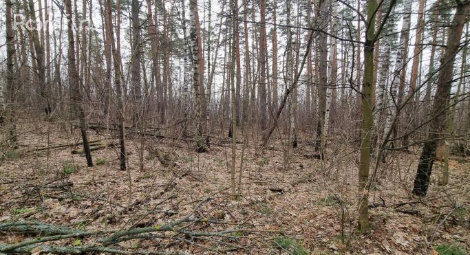 Продажа помещения свободного назначения 15000 м², Полевая улица - фото 3