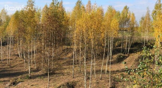 Продажа земельных участка 1.3 га, Центральная улица - фото 5