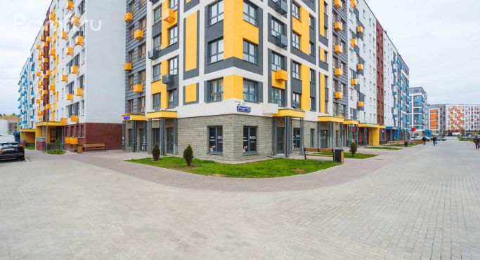 Аренда помещения свободного назначения 63.5 м², Романовская улица - фото 5