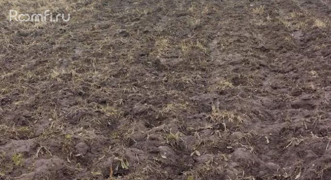 Продажа земельных участка 0.1 га, 46Н-00995 - фото 3