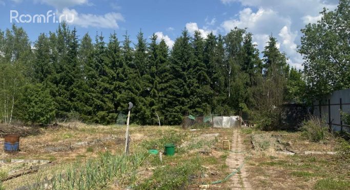 Продажа земельных участка 1 га - фото 3