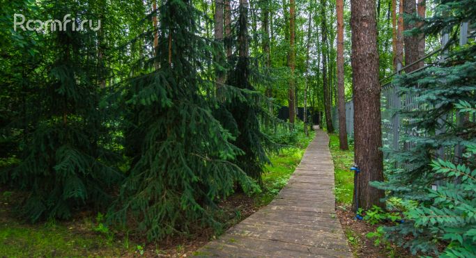 Продажа земельных участка 0.4 га, Лесная улица - фото 1