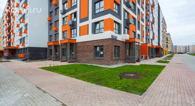 Аренда помещения свободного назначения 54.2 м², Романовская улица - фото 5