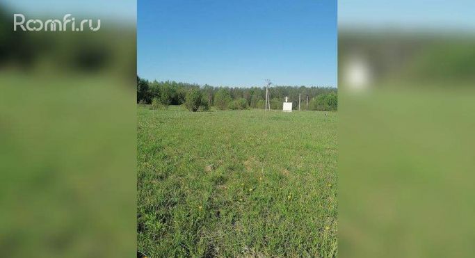Продажа земельных участка 1.2 га - фото 2