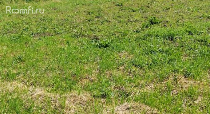 Продажа земельных участка 0.1 га, 46Н-00995 - фото 5