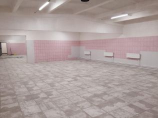 Аренда производственного помещения 601 м²