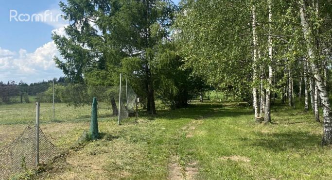 Продажа земельных участка 1 га - фото 2