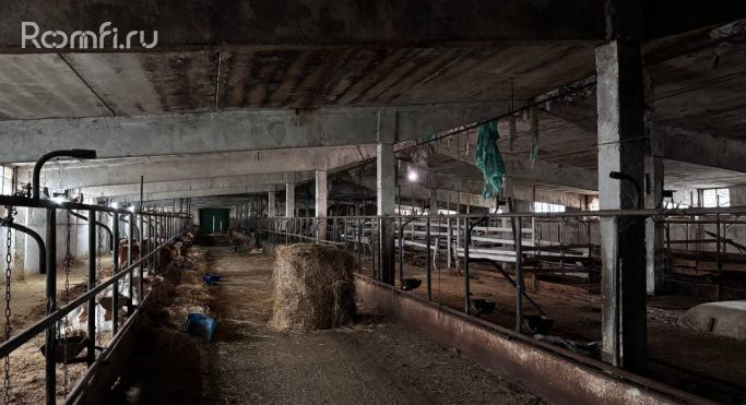 Аренда производственного помещения 3350 м² - фото 3