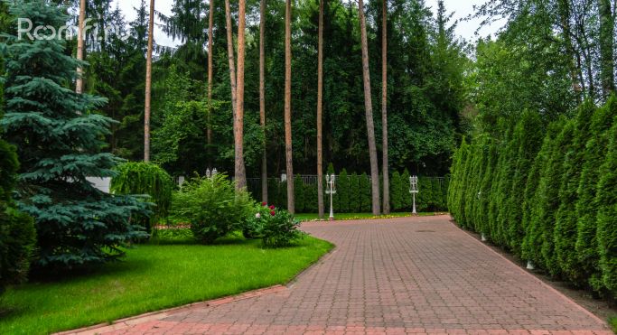 Продажа земельных участка 0.4 га, Лесная улица - фото 4