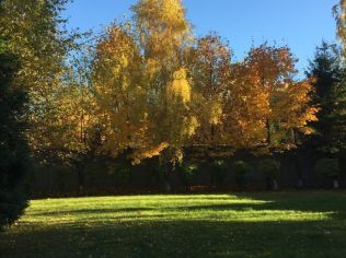 Продажа помещения свободного назначения 300 м²