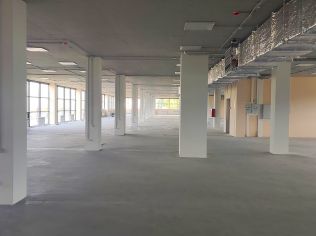 Аренда помещения свободного назначения 300 м²