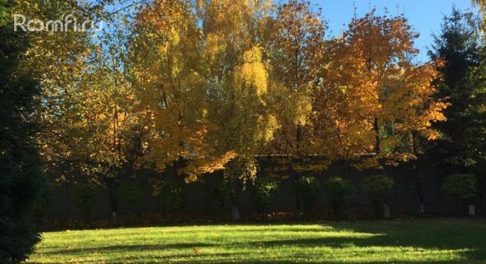 Продажа офиса 500 м² - фото 2