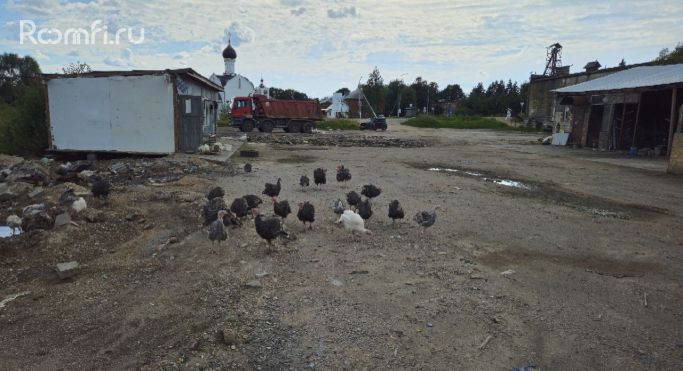 Аренда земельных участка 0.8 га - фото 5