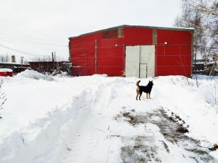 Аренда помещения свободного назначения 460 м²
