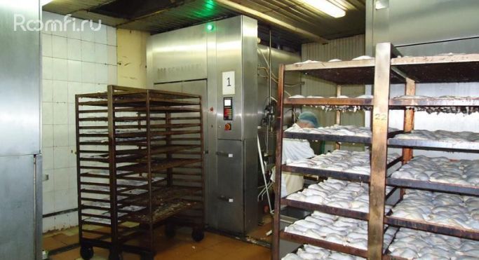 Аренда производственного помещения 800 м², Центральная улица - фото 2