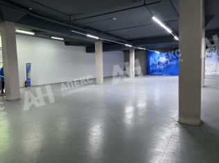 Аренда помещения свободного назначения 250 м²