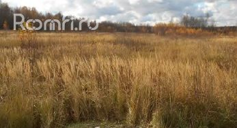 Продажа земельных участка 90.1 га - фото 3