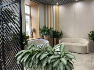 Аренда помещения свободного назначения 270 м²