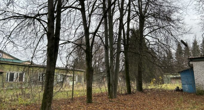 Продажа помещения свободного назначения 441.5 м² - фото 5